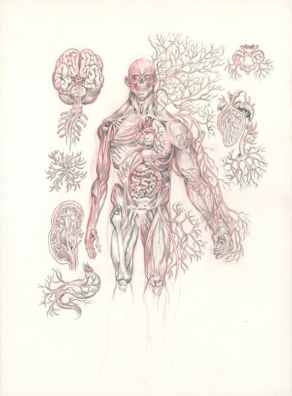 Stan Manoukian - Frankenstein, Illustration originale, carne