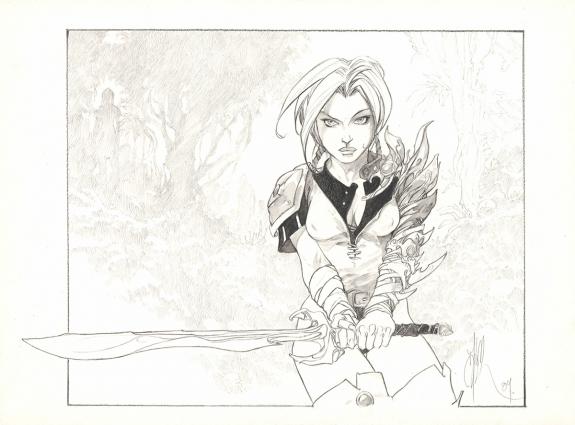 Fabrice Meddour - La Geste des Chevaliers Dragons, Illustrat