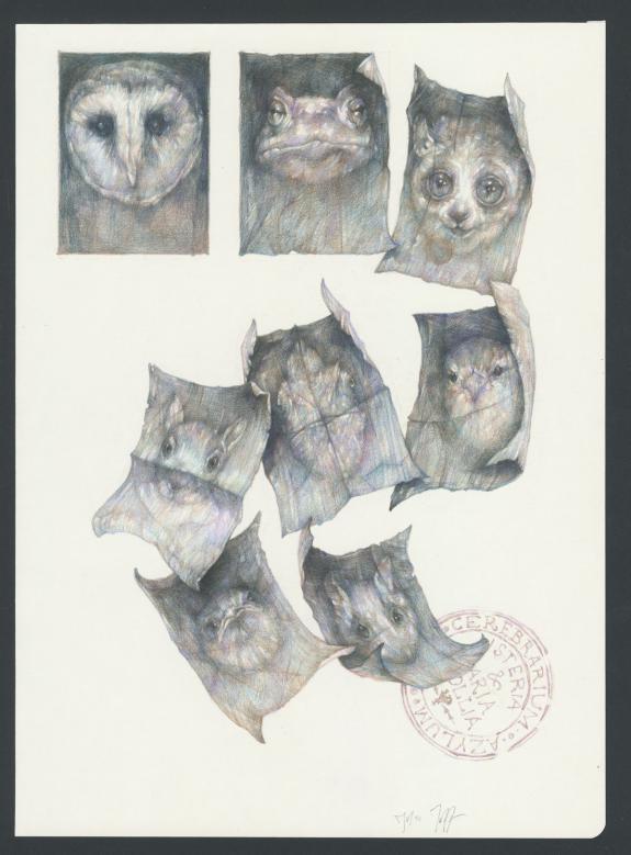 Marco Mazzoni - Illustration originale