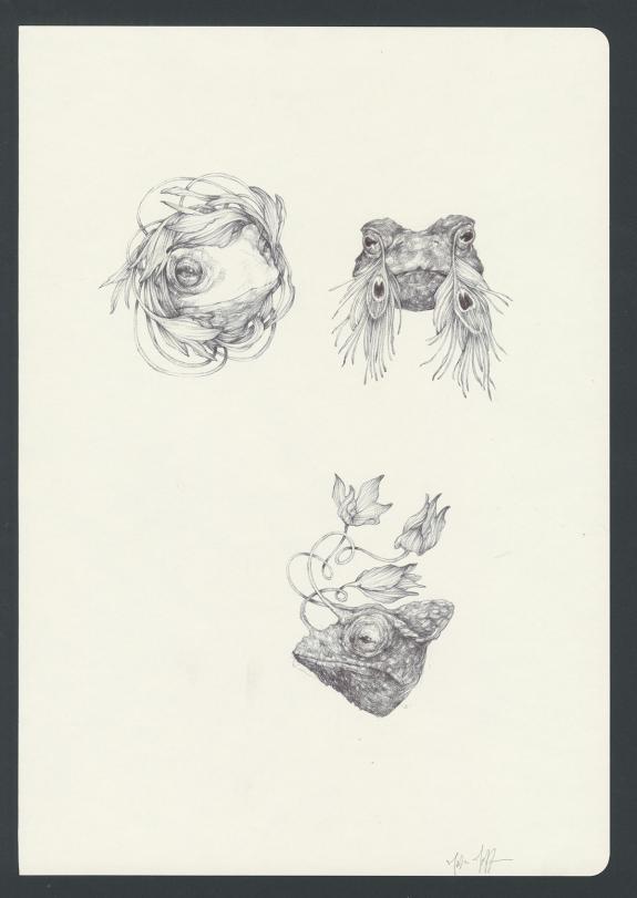 Marco Mazzoni - Illustration originale