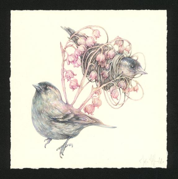 Marco Mazzoni - Journaux troublés, Illustration originale