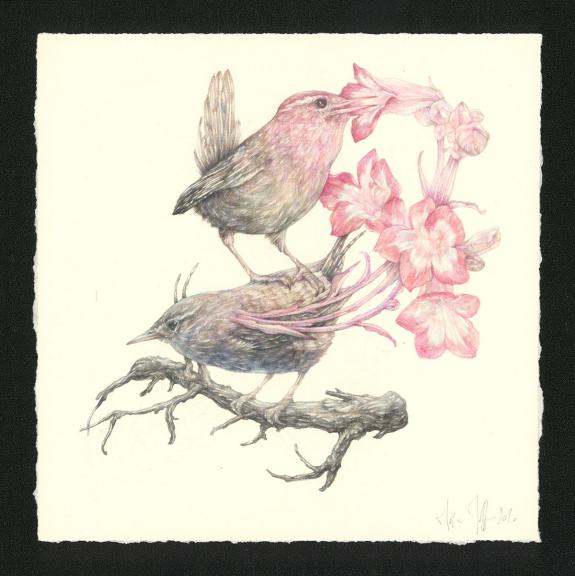 Marco Mazzoni - Journaux troublés, Illustration originale