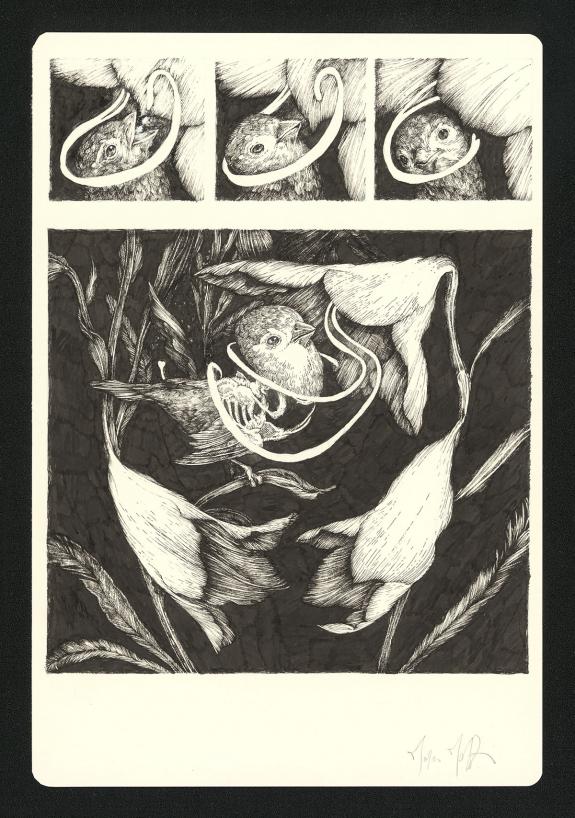 Marco Mazzoni - Journaux troublés, Planche originale