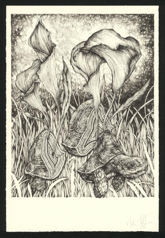Marco Mazzoni - Journaux troublés, Planche originale