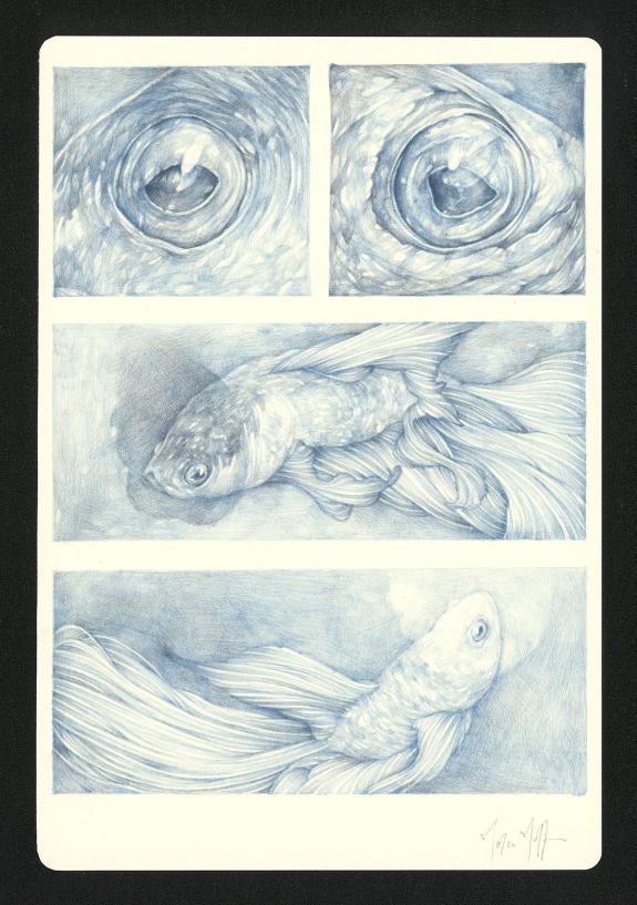 Marco Mazzoni - Journaux troublés, Illustration originale