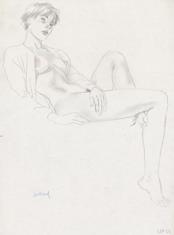 Andr&eacute; Juillard - Le Cahier bleu, Illustration originale