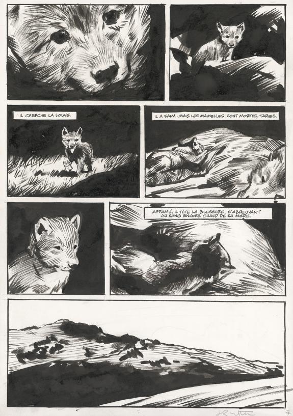 Jean-Marc Rochette - Le Loup, Planche originale n° 7