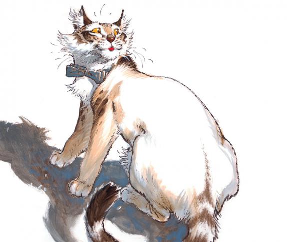 Frank Pé - Chat
Illustration originale réalisée pour le cale