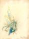 Brian Froud - Lady Cottington's Pressed Fairy Book, Illustra