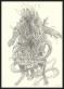 Armel Gaulme - Les Carnets Lovecraft, Les Rats dans les murs