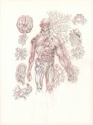 Stan Manoukian - Frankenstein, Illustration originale, carne