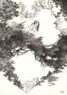 Olivier Pont - Un putain de salopard, Guajeraï, Illustration
