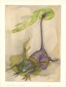 Brian Froud - Stange stains and mysterious smells, Illustrat