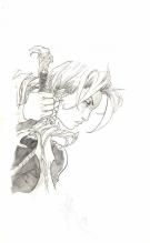 Fabrice Meddour - La Geste des Chevaliers Dragons, Couvertur