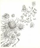 Stan Manoukian - L'Encyclop&eacute;die du Merveilleux , Les Monstre