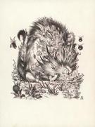 Stan Manoukian - Bêtes à faire peur, Illustration originale 