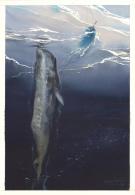 Emmanuel Lepage - Une rencontre inattendue, Illustration ori