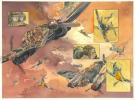 Warnauts et Raives - Ciel d'orages, London burning, Double p