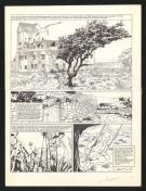 Viviane Nicaise - Sang-de-Lune, Sang-Délire, Planche origina