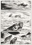 Jean-Marc Rochette - Le Loup, Planche originale n°40 accompa