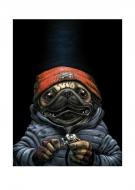 Guznag - Illustration originale, chien sdf