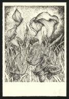 Marco Mazzoni - Journaux troublés, Planche originale