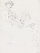 Andr&eacute; Juillard - Le Cahier bleu, Illustration originale