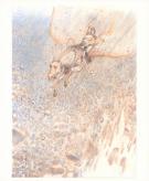 Paul & Ga&euml;tan Brizzi - Don Quichotte de la Manche, Planche o